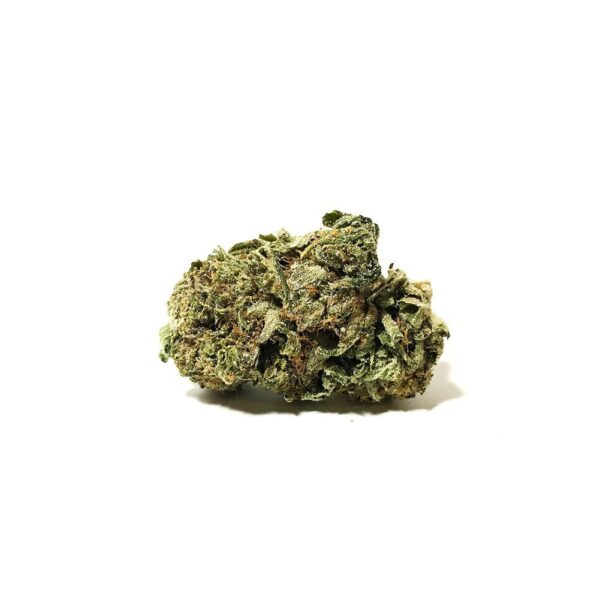 Black Domina (AAA)