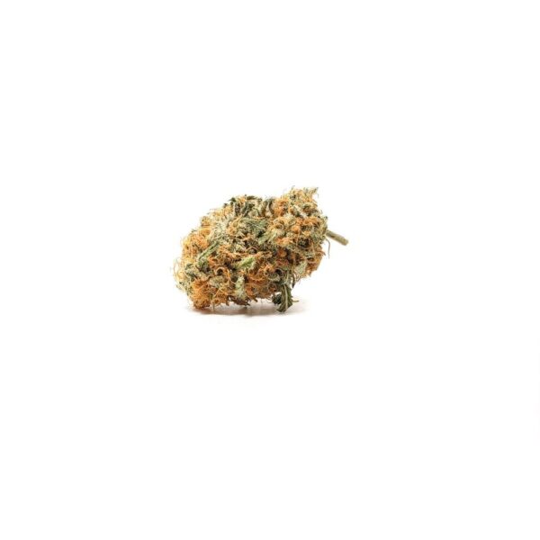 Cookie Puss (AAA)