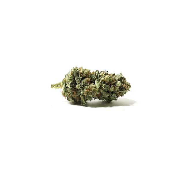 Mimosa (AAA+)