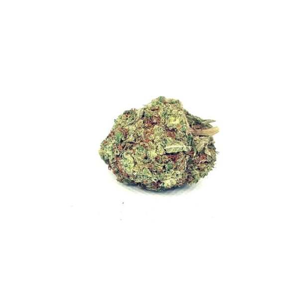 Stardawg (AAA+)