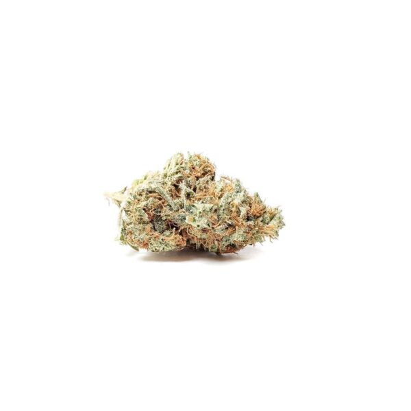 White Berry (AAA)